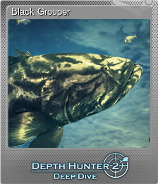 Series 1 - Card 2 of 15 - Black Grouper