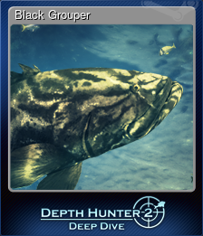 Series 1 - Card 2 of 15 - Black Grouper