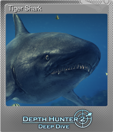 Series 1 - Card 11 of 15 - Tiger Shark