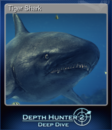 Series 1 - Card 11 of 15 - Tiger Shark