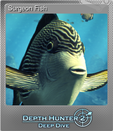 Series 1 - Card 13 of 15 - Surgeon Fish