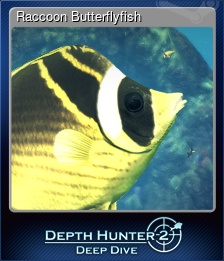 Raccoon Butterflyfish