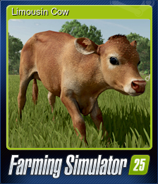 Series 1 - Card 4 of 6 - Limousin Cow