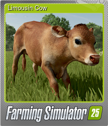Series 1 - Card 4 of 6 - Limousin Cow