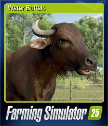 Series 1 - Card 1 of 6 - Water Buffalo