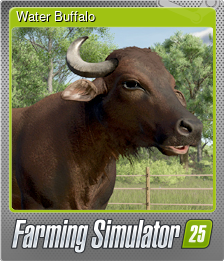 Series 1 - Card 1 of 6 - Water Buffalo