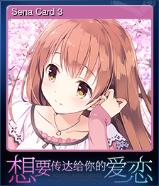 Sena Card 3