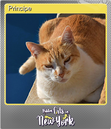 Series 1 - Card 6 of 6 - Principe