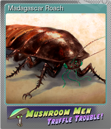 Series 1 - Card 8 of 8 - Madagascar Roach