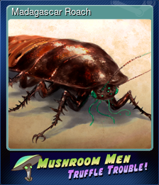 Madagascar Roach