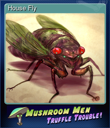 Series 1 - Card 4 of 8 - House Fly