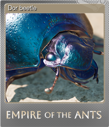 Series 1 - Card 6 of 7 - Dor beetle