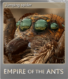 Series 1 - Card 7 of 7 - Jumping spider