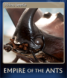 Rhino beetle