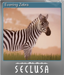 Series 1 - Card 2 of 8 - Evening Zebra