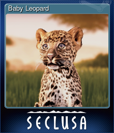 Series 1 - Card 4 of 8 - Baby Leopard