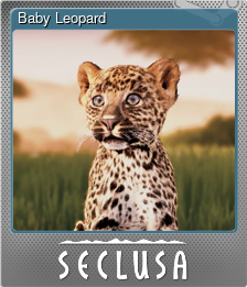 Series 1 - Card 4 of 8 - Baby Leopard
