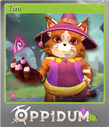 Series 1 - Card 9 of 10 - Tam