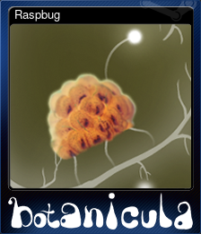 Series 1 - Card 8 of 8 - Raspbug