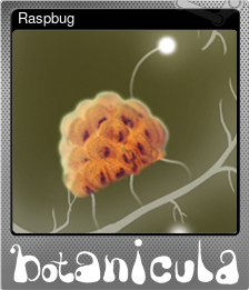 Series 1 - Card 8 of 8 - Raspbug