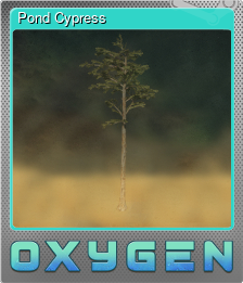 Series 1 - Card 7 of 8 - Pond Cypress