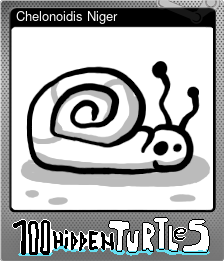 Series 1 - Card 3 of 5 - Chelonoidis Niger
