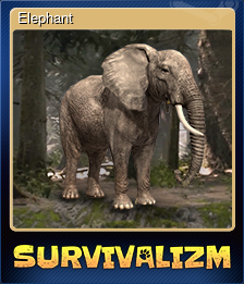 Series 1 - Card 2 of 5 - Elephant