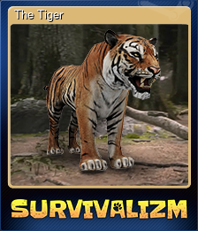 Series 1 - Card 1 of 5 - The Tiger