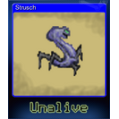 Strusch