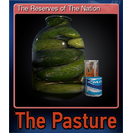 The Reserves of The Nation