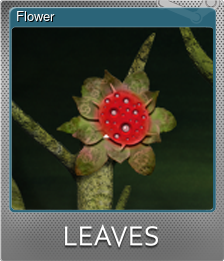 Series 1 - Card 1 of 7 - Flower