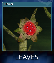 Series 1 - Card 1 of 7 - Flower