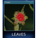 Flower
