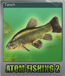 Series 1 - Card 3 of 5 - Tench