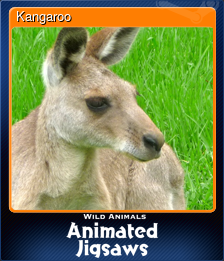 Series 1 - Card 4 of 9 - Kangaroo