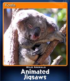 Series 1 - Card 5 of 9 - Koala