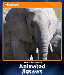 Series 1 - Card 1 of 9 - Elephant