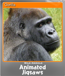 Series 1 - Card 3 of 9 - Gorilla