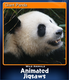 Series 1 - Card 7 of 9 - Giant Panda