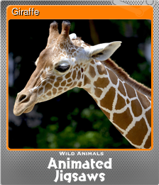 Series 1 - Card 2 of 9 - Giraffe