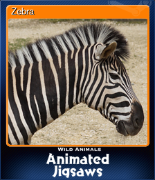 Series 1 - Card 9 of 9 - Zebra