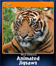 Series 1 - Card 8 of 9 - Tiger
