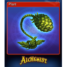 Plant