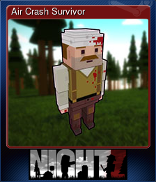 Air Crash Survivor