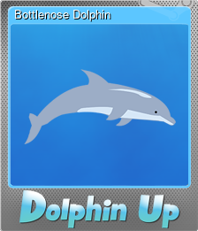 Series 1 - Card 1 of 6 - Bottlenose Dolphin