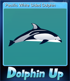Series 1 - Card 3 of 6 - Pacific White Sided Dolphin