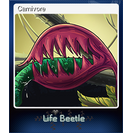 Carnivore