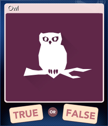 Series 1 - Card 1 of 8 - Owl