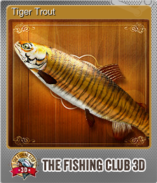 Series 1 - Card 10 of 14 - Tiger Trout
