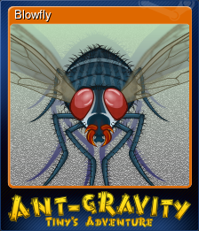 Series 1 - Card 4 of 6 - Blowfly